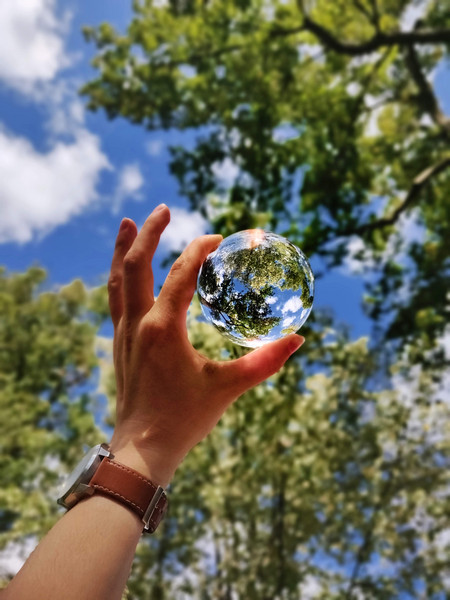 Eine Hand hält eine Glaskugel Richtung Himmel und einem grünen Baum. Beides spiegelt sich in der Glaskugel